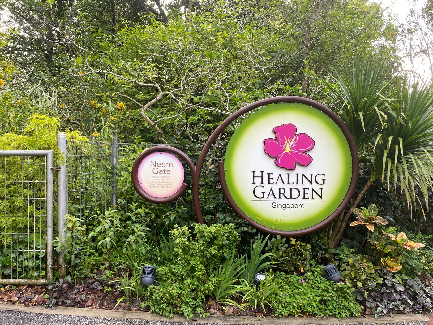 Healing garden